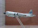 旦那さんが実際に制作した飛行機を模型化したもの